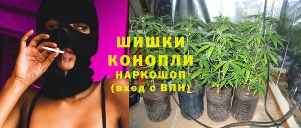 стафф Михайлов