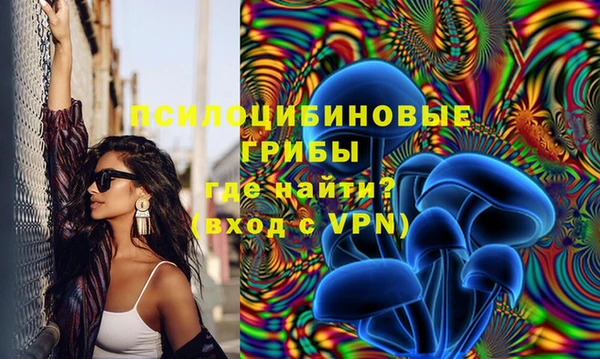 MESCALINE Медвежьегорск