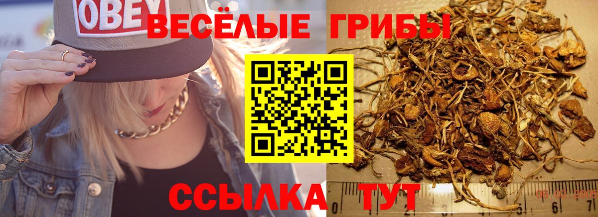 Кимовск  Галлюциногенные грибы ЛСД  Вход с VPN 